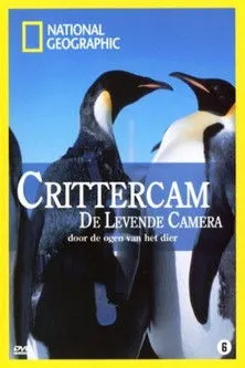 Mike Heithaus interpreta a Narrator en Crittercam