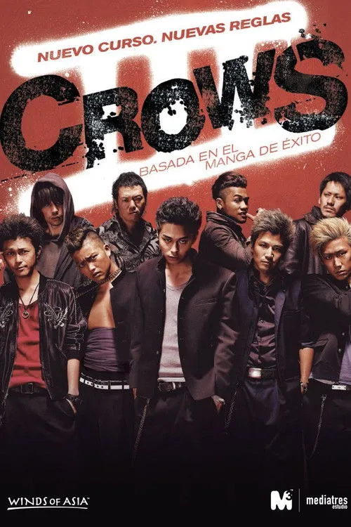 Póster de la película Crows 3