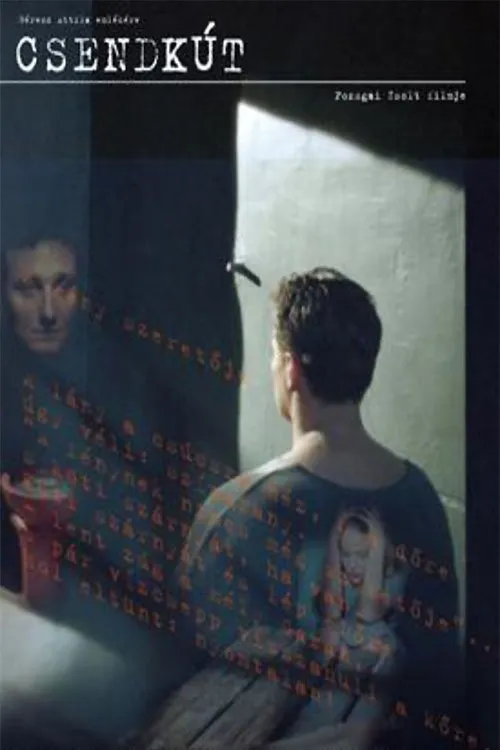 Póster de Csendkút