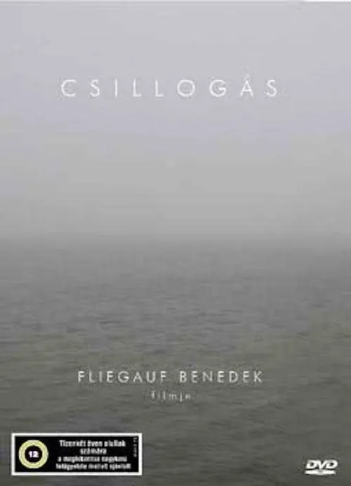 Póster de Csillogás