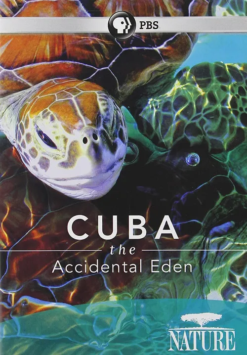 Póster de Cuba: Edén Accidental