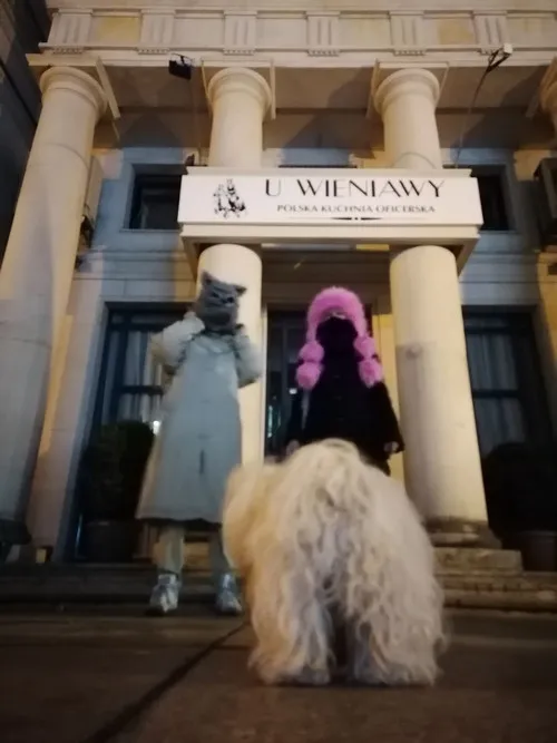 Póster de D'Vinci Testa Rosa Now