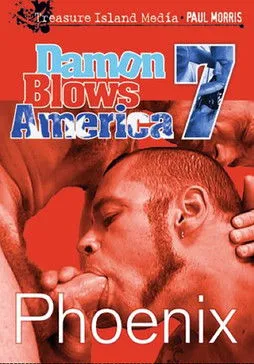 Póster de Damon Blows America 7: Phoenix