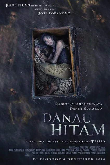 Póster de Danau Hitam
