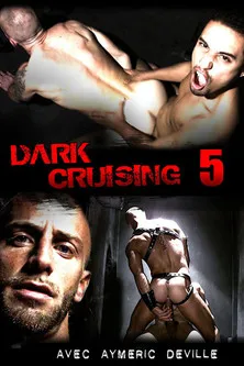 Póster de Dark Cruising 5