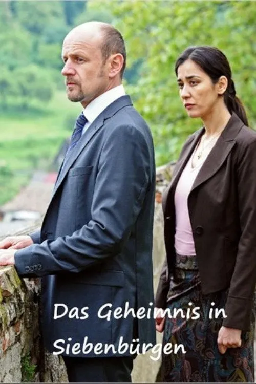 Póster de Das Geheimnis in Siebenbürgen