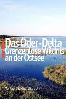 Colin Solman interpreta a Narrator en Das Oder-Delta - Grenzenlose Wildnis an der Ostsee