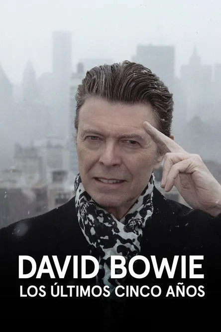 Póster de David Bowie: Los últimos cinco años