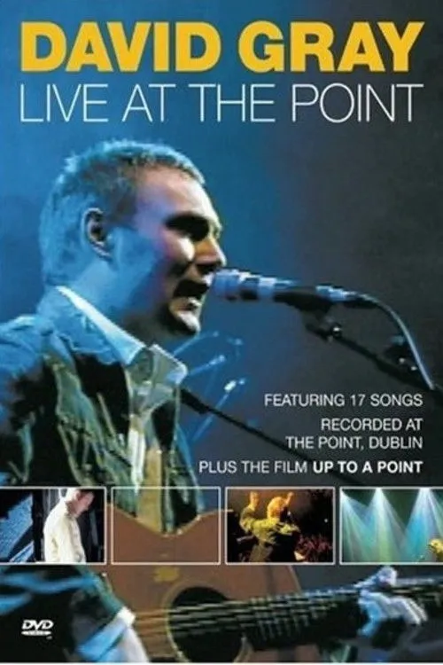 David Gray interpreta a  en David Gray: Live at the Point
