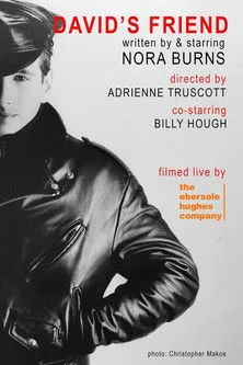 Póster de David's Friend