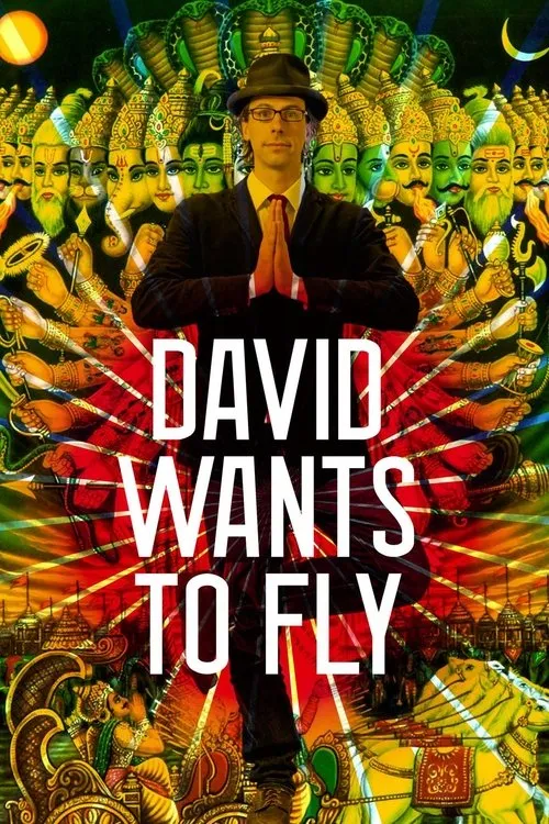 Póster de David Wants to Fly