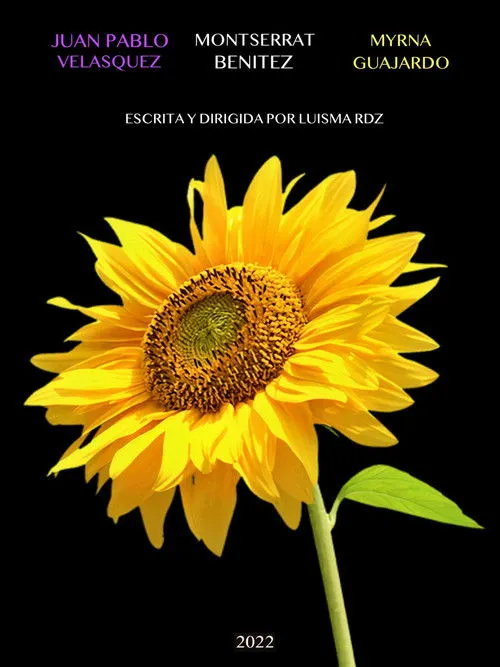 Póster de De la noche a la mañana