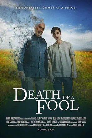 Póster de Death of a Fool