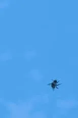 Emile Jansen interpreta a  en Deeply, Madly