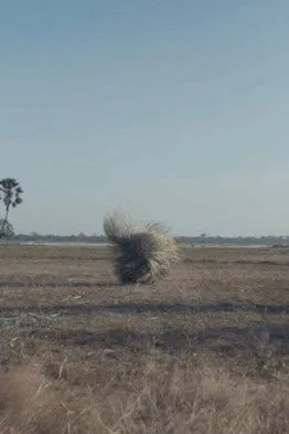 Laëtitia Ky interpreta a en Déjà Nu