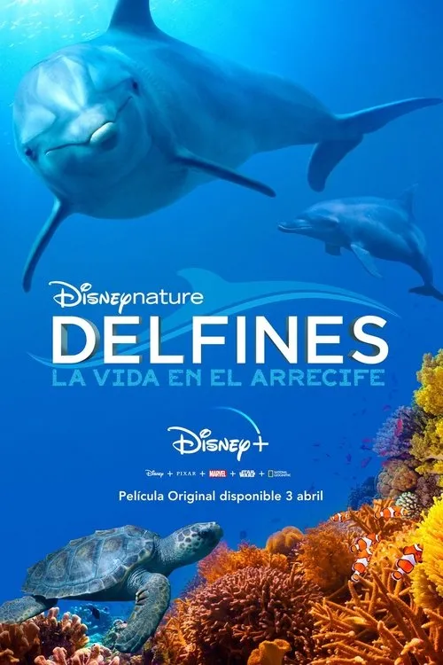 Póster de Delfines: La vida en el arrecife