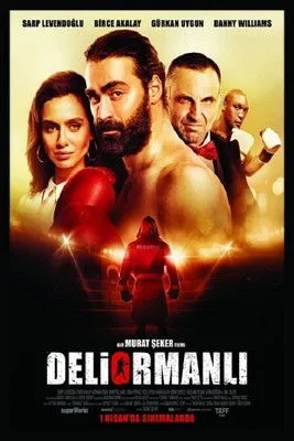Póster de Deliormanlı