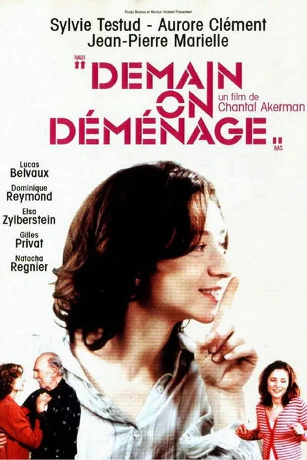 Póster de Demain on déménage
