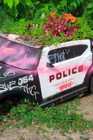 Portada de Department of Injustice