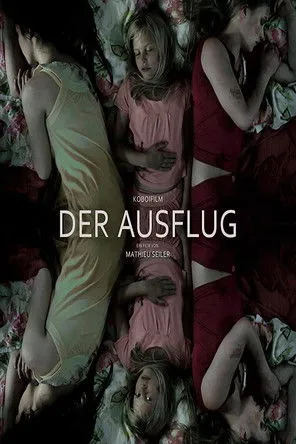 Póster de Der Ausflug