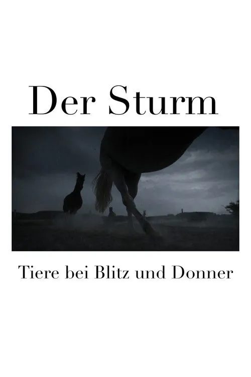 Thomas Balou Martin interpreta a Narrator en Der Sturm - Tiere bei Blitz und Donner