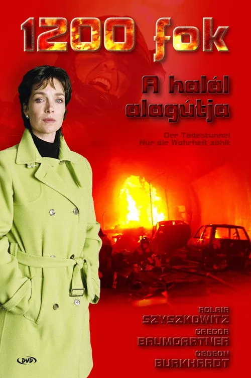 Portada de Der Todestunnel - Nur die Wahrheit zählt