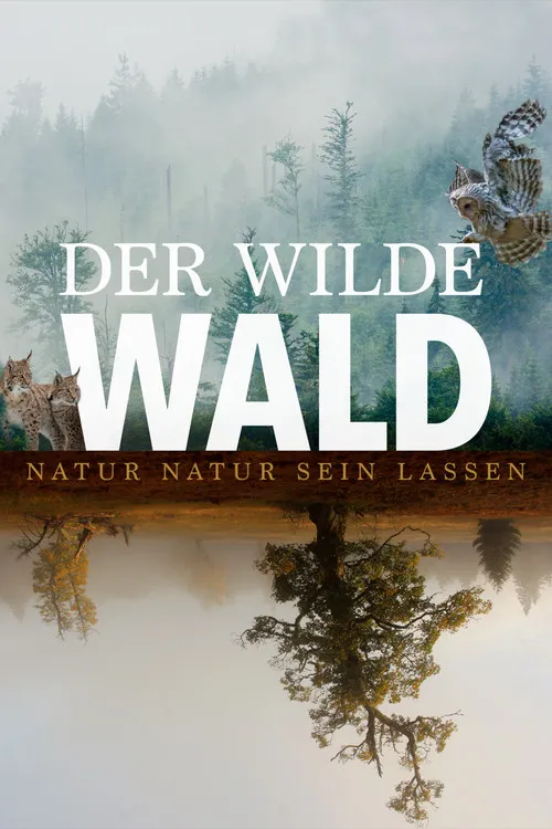 Póster de Der wilde Wald