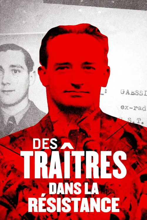 Póster de Des traîtres dans la Résistance