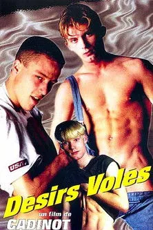 Póster de Désirs volés