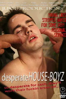 Póster de Desperate House Boyz