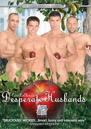 Póster de Desperate Husbands