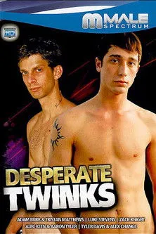 Póster de la película Desperate Twinks