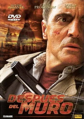 Póster de Después del muro