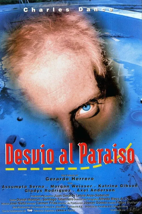 Portada de Desvío al paraíso