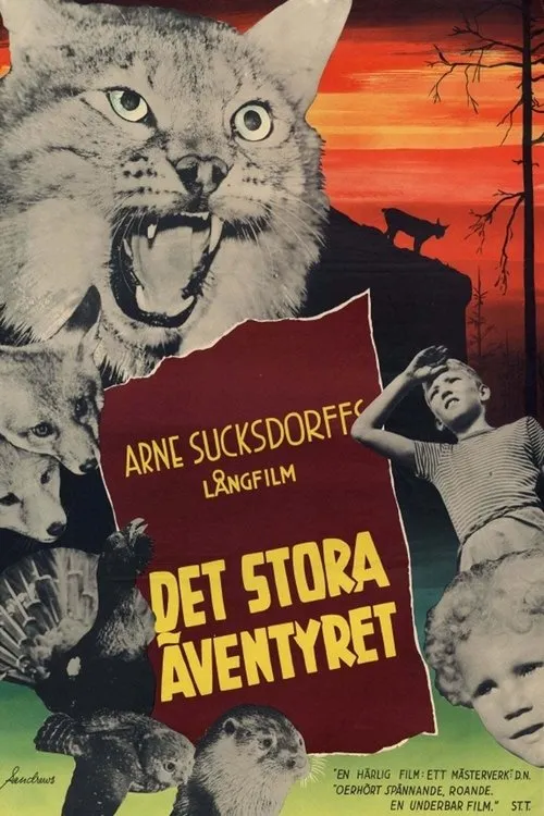 Anders Nohrborg interpreta a Anders en Det stora äventyret