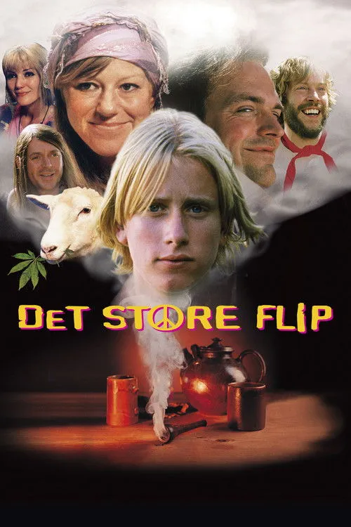 Póster de Det store flip