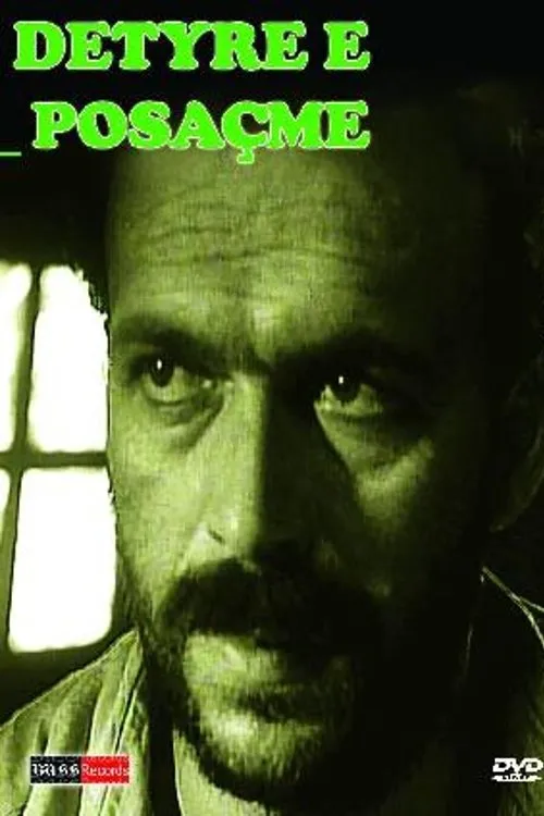 Póster de la película Detyrë e posaçme