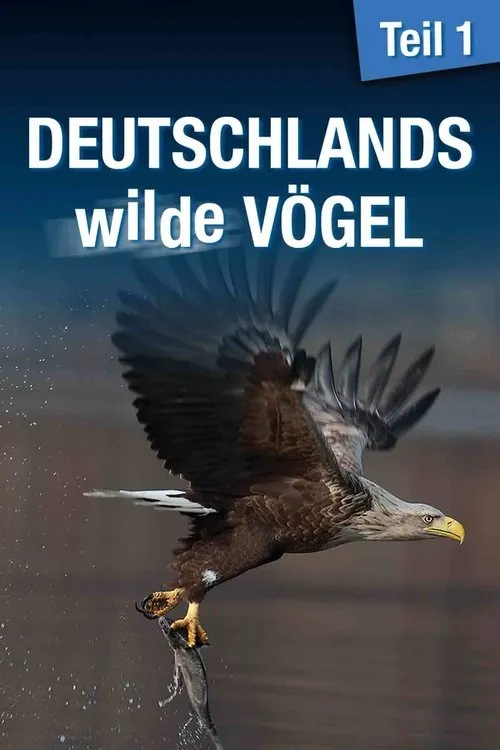 Olaf Pessler interpreta a Narrator en Deutschlands wilde Vögel