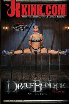 Póster de Device Bondage 18