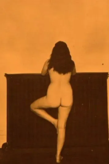 Póster de Dialogues, or A Waist Is a Terrible Thing to Mind