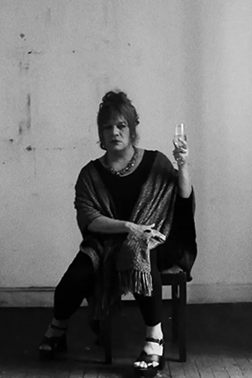 Póster de Diario de las tormentas solares