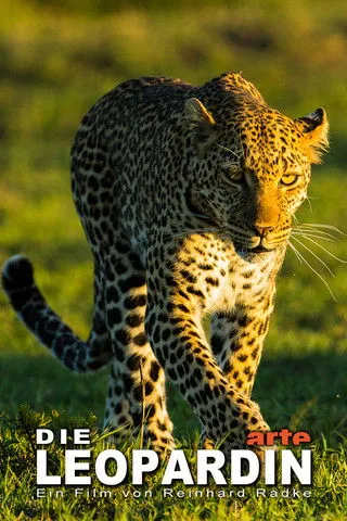 Póster de Die Leopardin