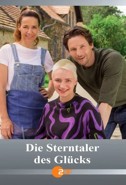 Póster de Die Sterntaler des Glücks