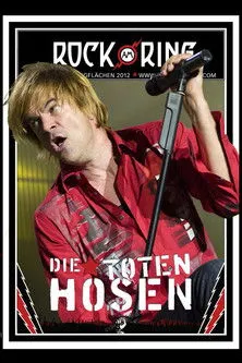 Andreas von Holst interpreta a Guitar en Die Toten Hosen - Rock am Ring
