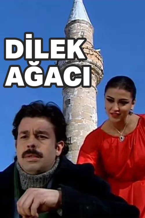 Baris Kiliç interpreta a  en Dilek Ağacı