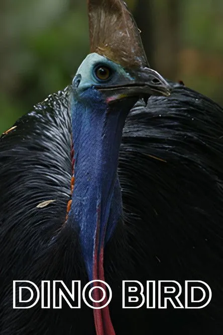 Christian Lanz interpreta a Narrator en Dino Bird