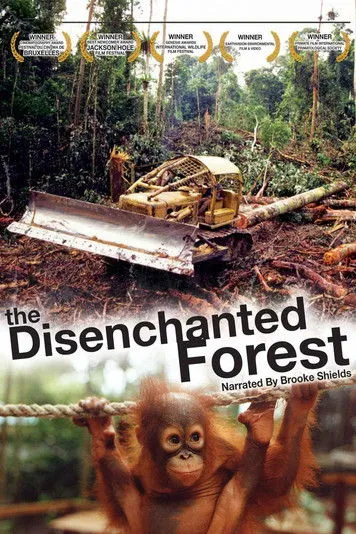 Póster de la película Disenchanted Forest