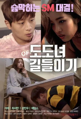 Póster de 도도녀 길들이기