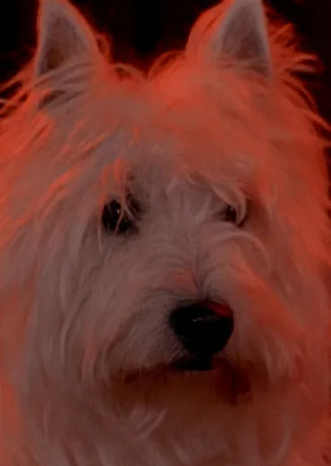 Ana Zanatti interpreta a Mother en Dois Dragões