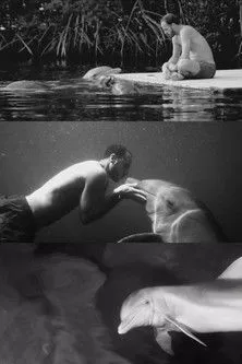 Sebastián Silva interpreta a en Dolfun